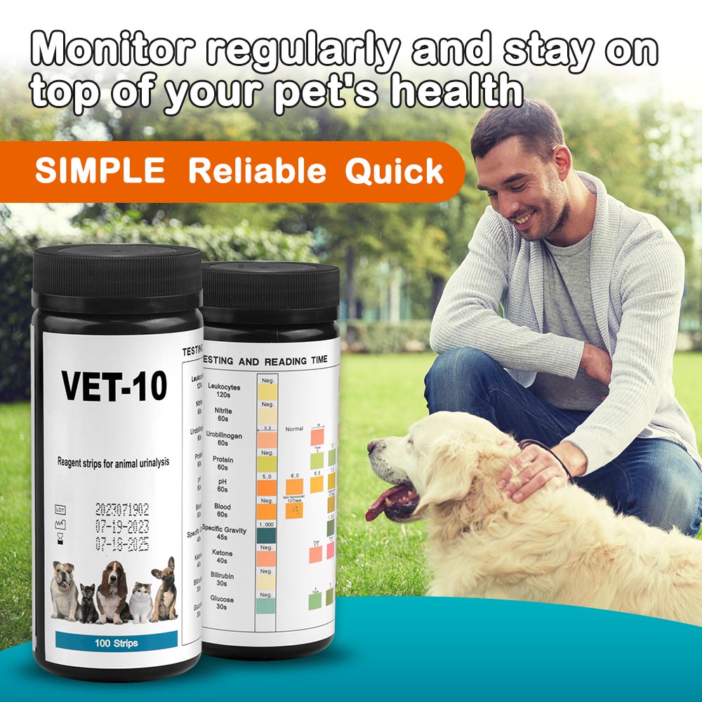Urinalysis Reagent Strip - 10項目測定用猫・犬尿検査試験紙100枚入り、猫・犬尿路感染症検査キット、尿検査試薬ストリップ：グルコース、比重、pH