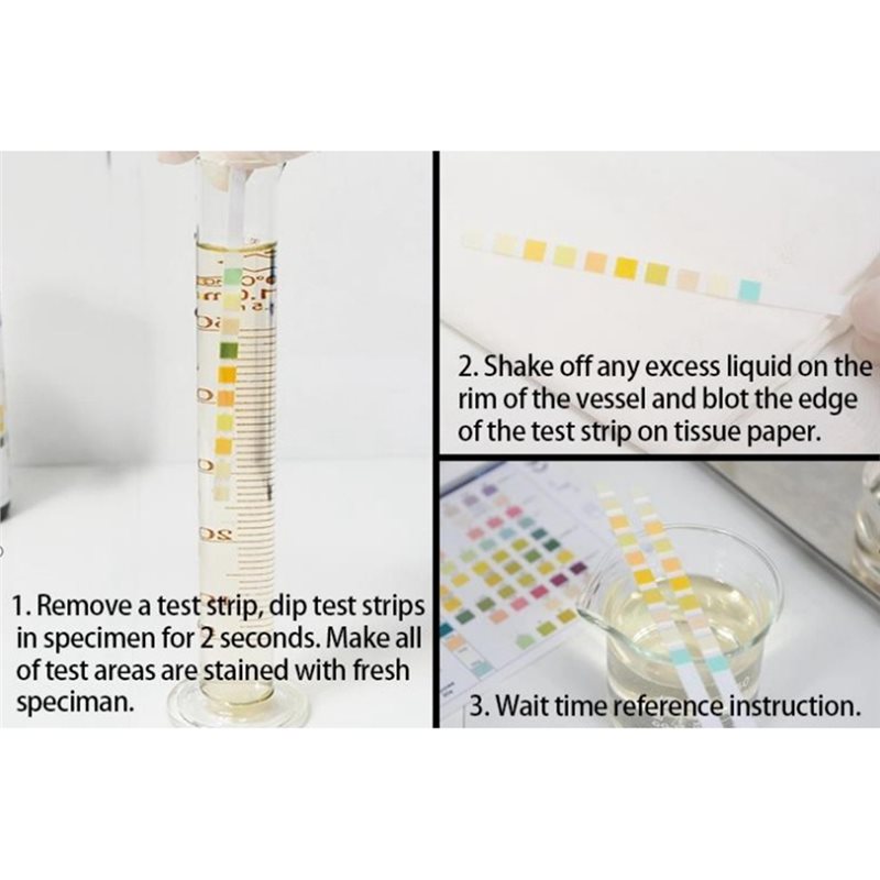 VELIF-健康モニタリングテスター 10項目尿検査試薬スト - Urinalysis Reagent Strip のレビューと価格