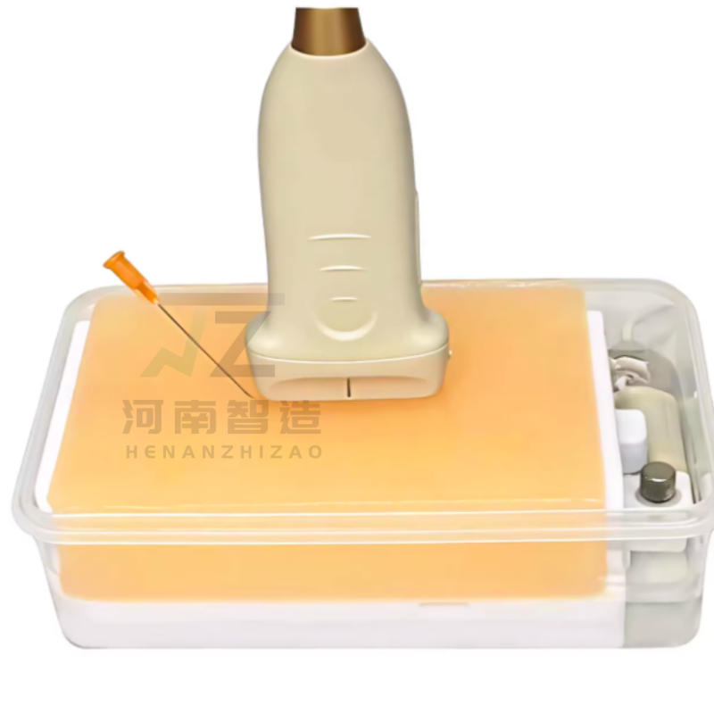 超音波血管穿刺トレーニングモデル ジェル自己修復素材 医療ト - Medical Gel Ultrasound のレビューと価格